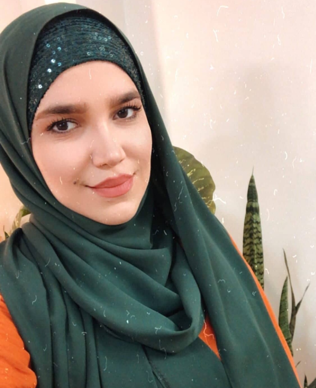 کالکشن هدشال